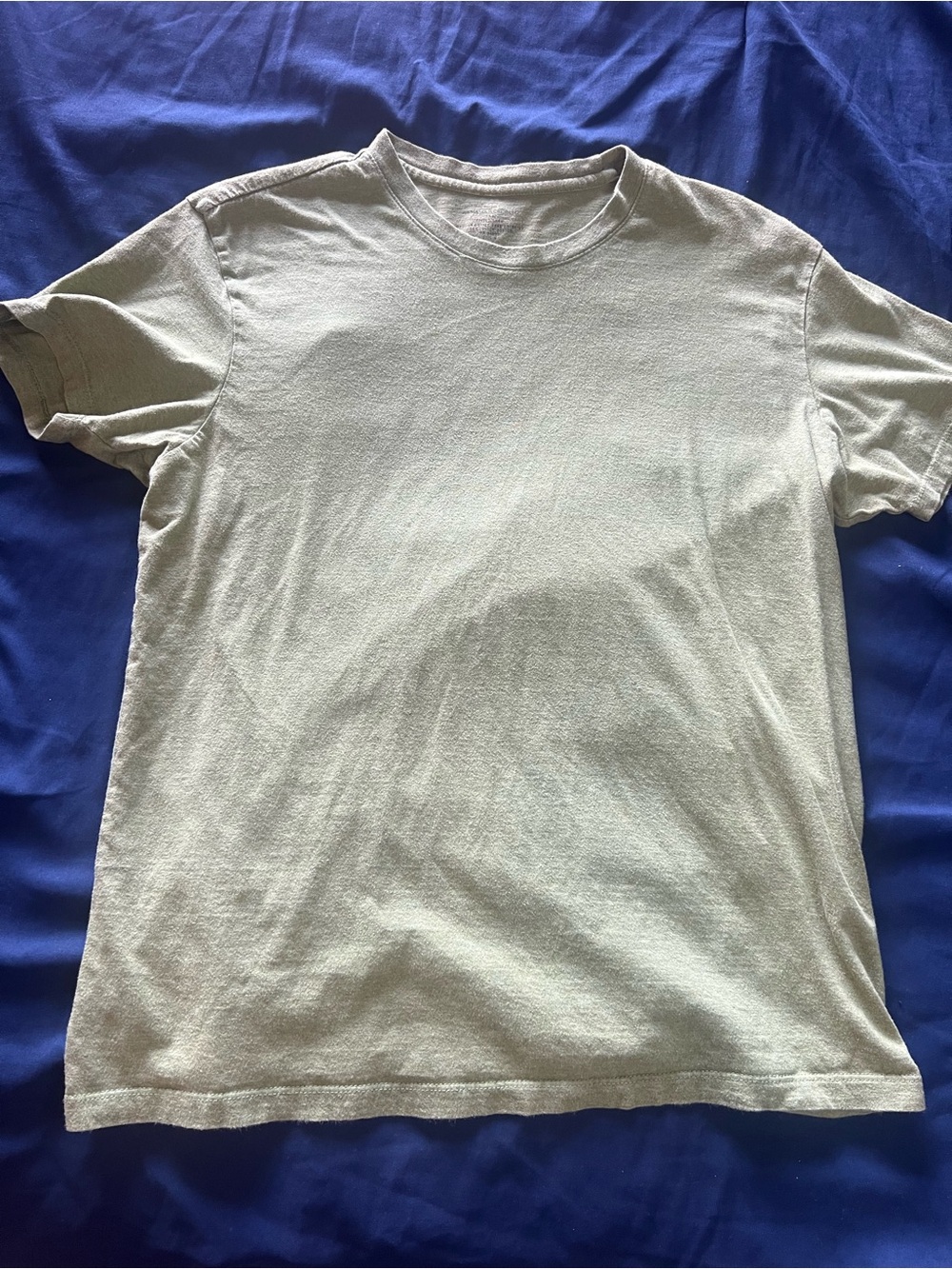 Banana Republic Men's Crew Neck Tee in Light Sage
